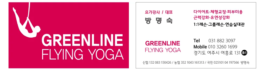 그린라인 플라잉요가 대표 이미지
