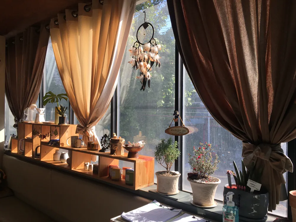 네이처요가 대표 이미지