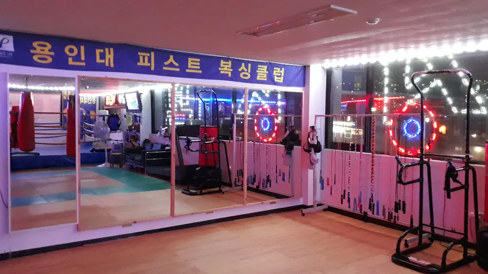 용인대피스트복싱클럽 대표 이미지