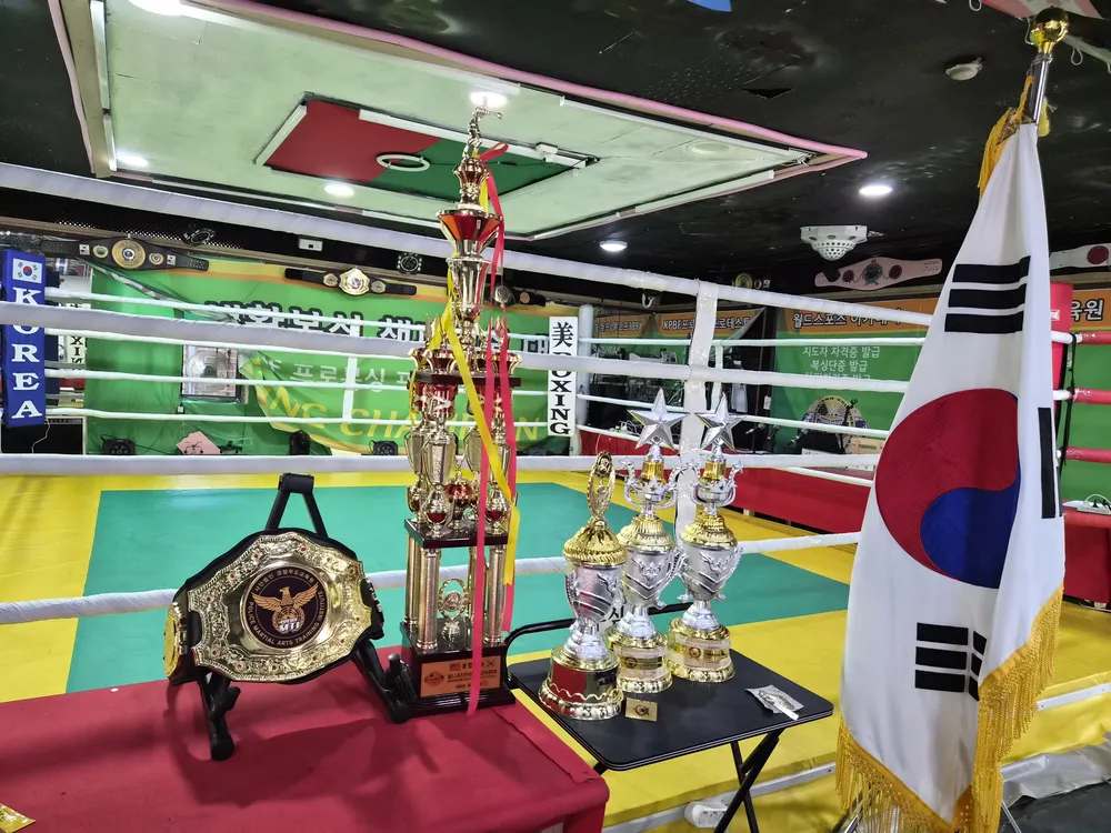 재규어복싱 대표 이미지