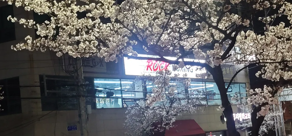 락복싱클럽 대표 이미지