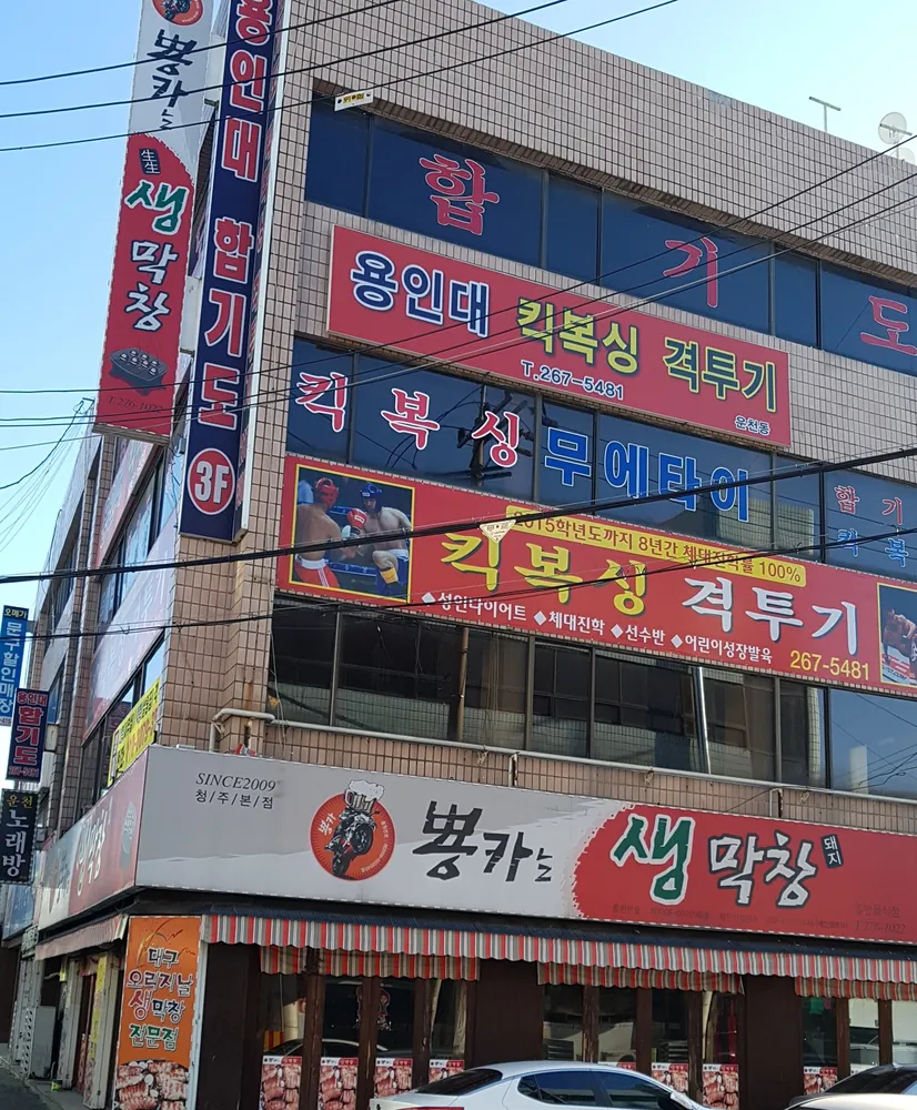 용인대킥복싱격투기 대표 이미지
