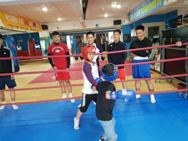 예산복싱체육관 대표 이미지