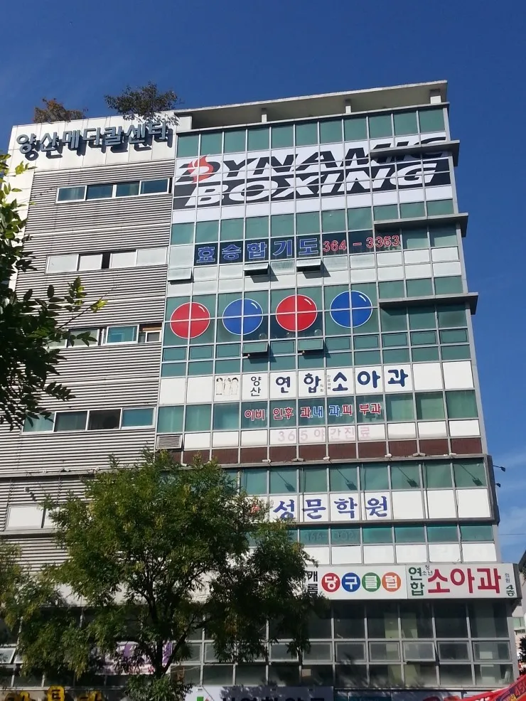 다이나믹복싱 대표 이미지