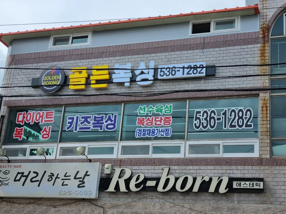 골든복싱 대표 이미지