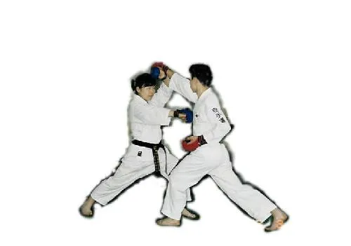 중흥설악특공무술체육관 대표 이미지