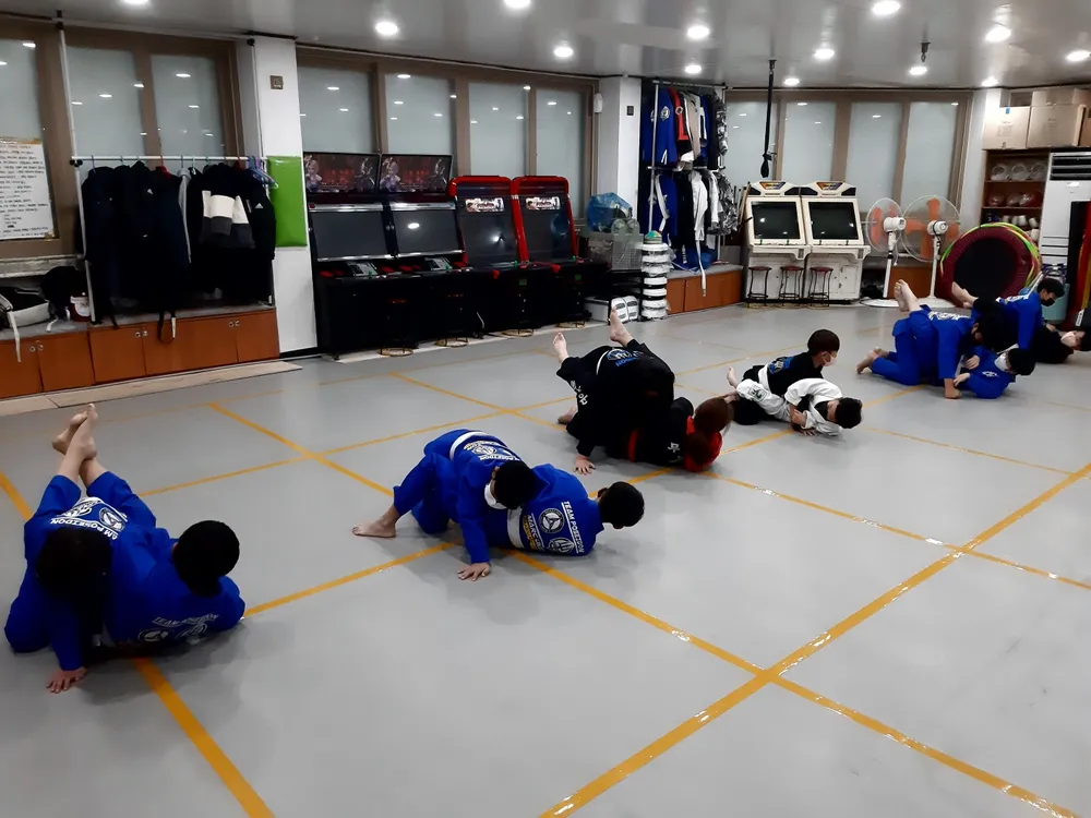 종합무술예절교육관 대표 이미지