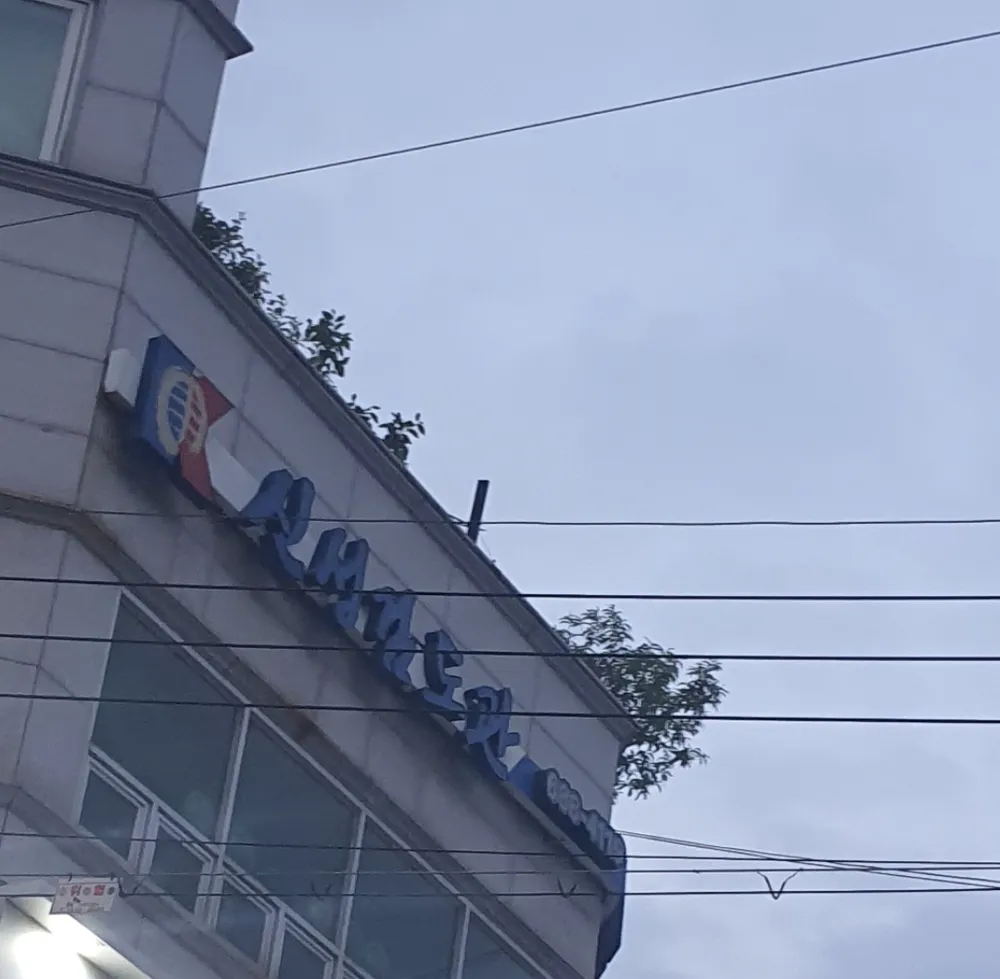 신성검도관 대표 이미지