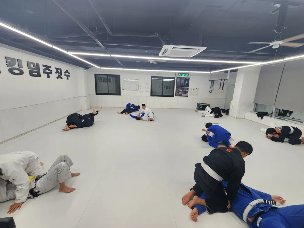 킹덤주짓수합천지부 대표 이미지