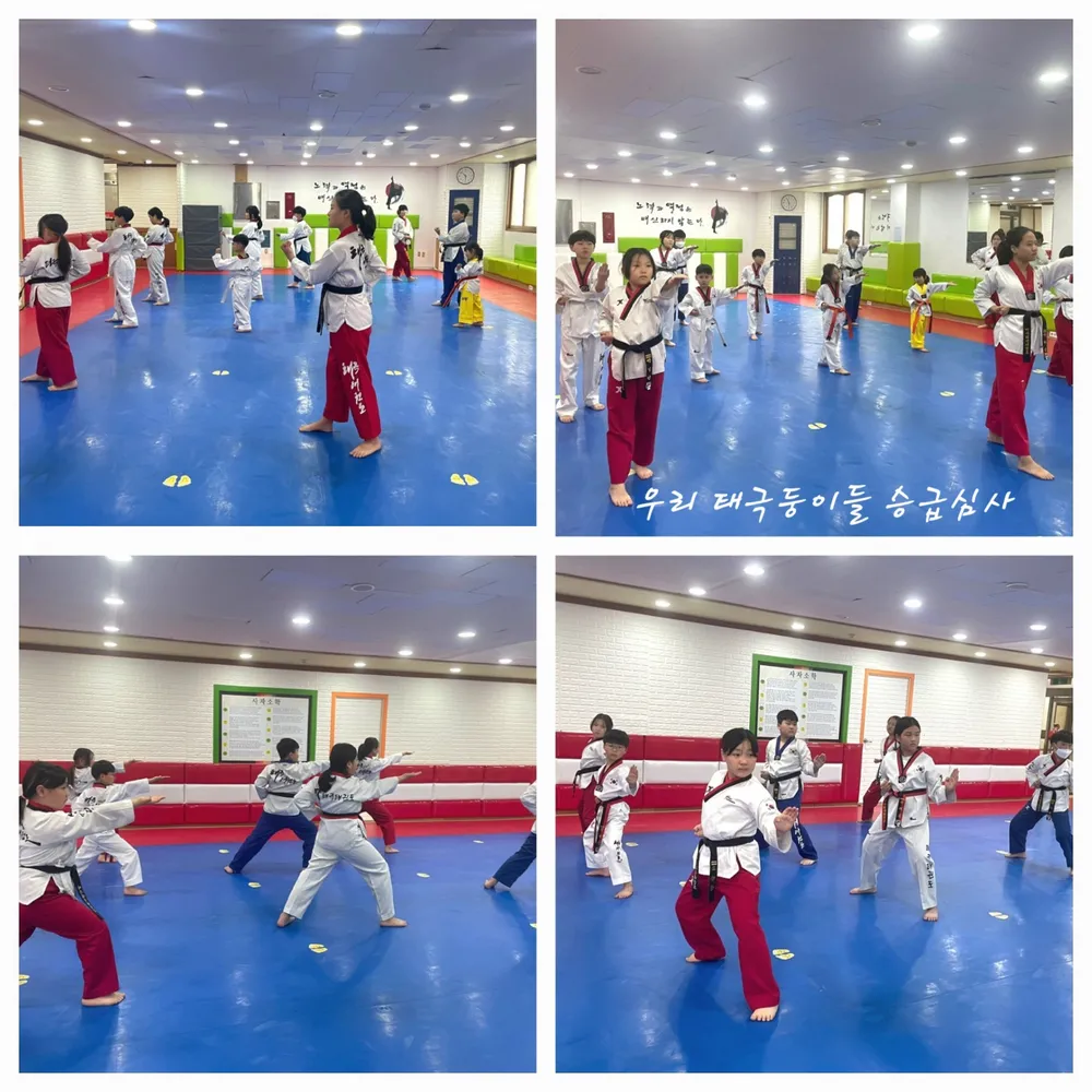 태극태권도 대표 이미지