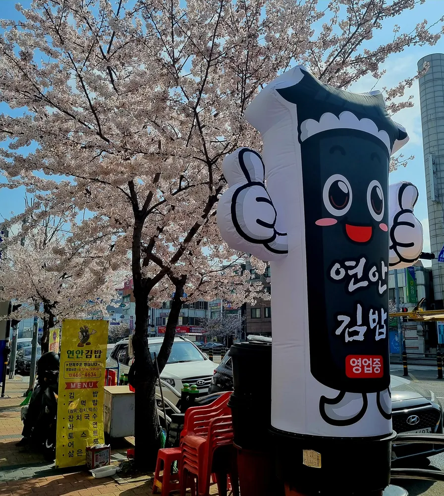 연안김밥 대표 이미지
