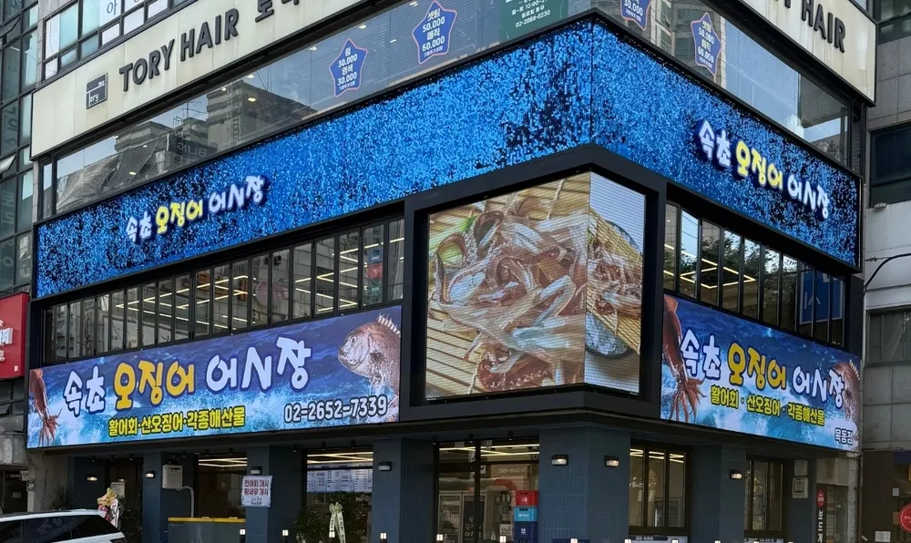 속초오징어어시장 대표 이미지