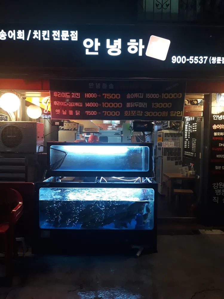 안녕하송 대표 이미지