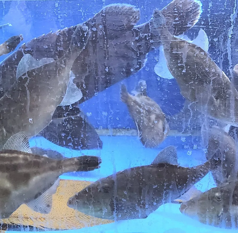 광화문수산 대표 이미지