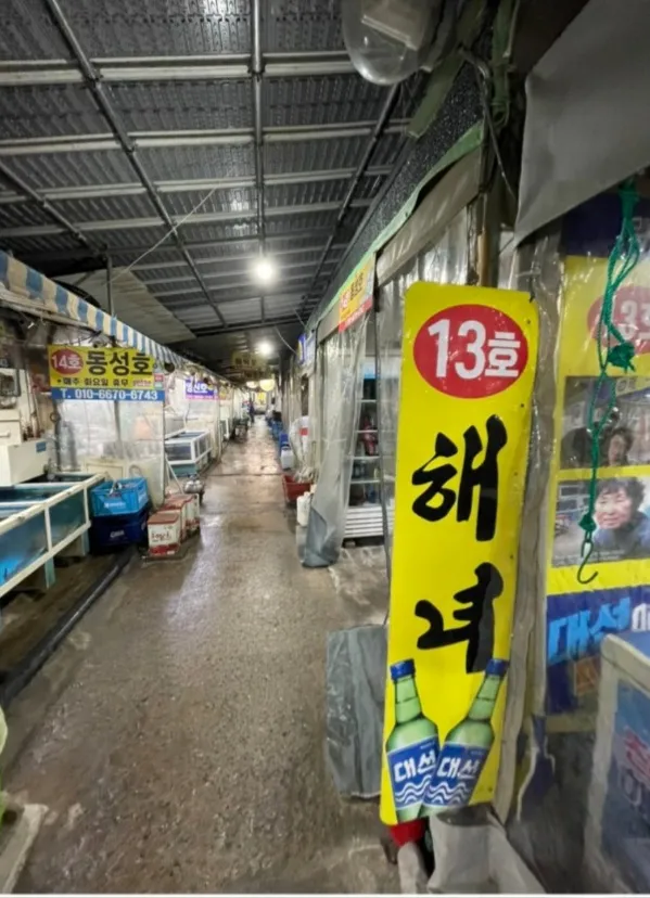 섭자리 해녀13호 대표 이미지