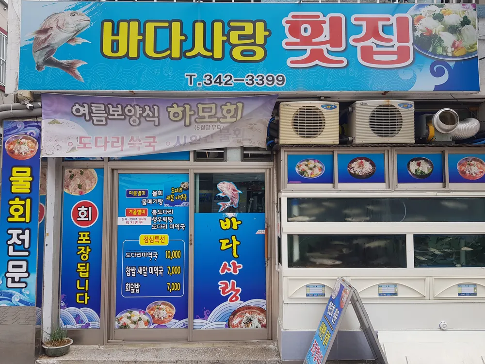 바다사랑 대표 이미지