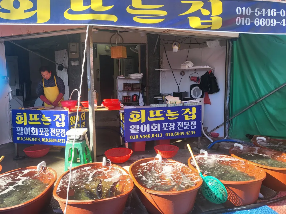 회뜨는집 대표 이미지