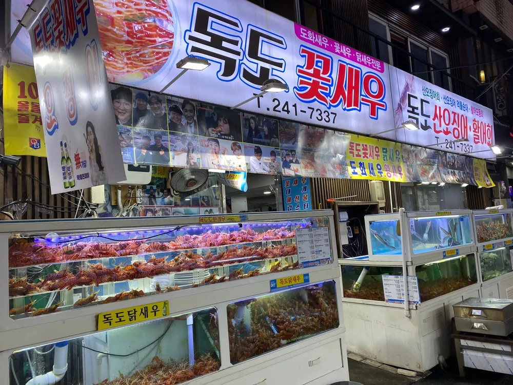 독도꽃새우 대표 이미지