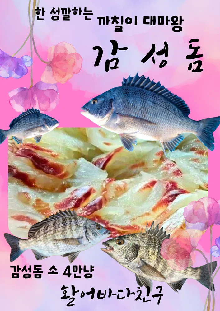 활어바다친구 대표 이미지