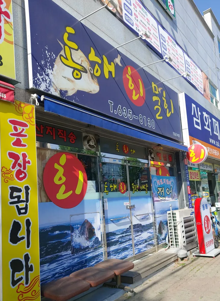동해물회 대표 이미지