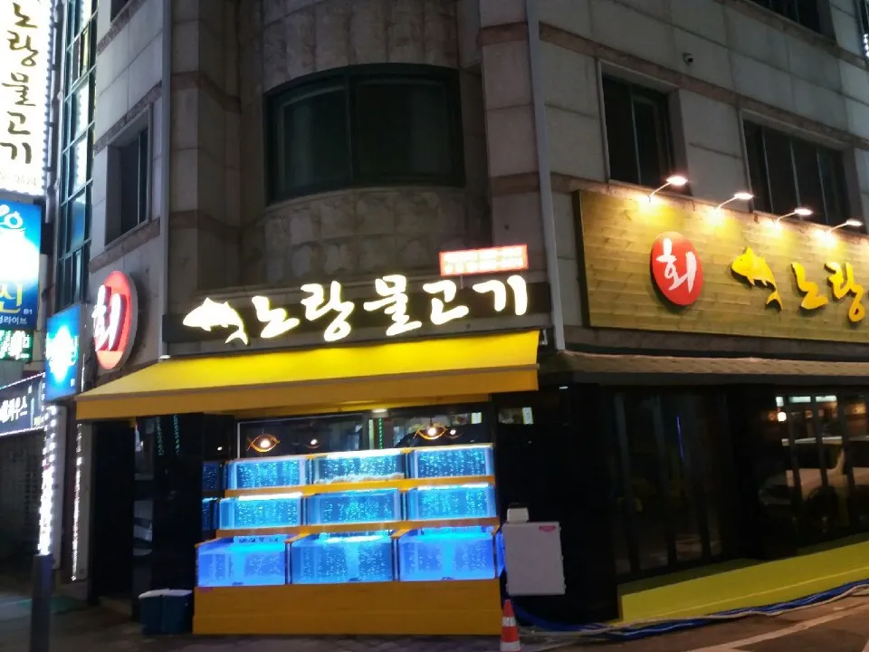 노랑물고기 대표 이미지