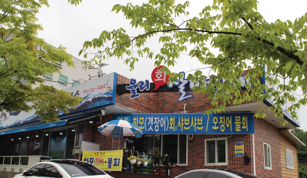 율리회살아있네 대표 이미지