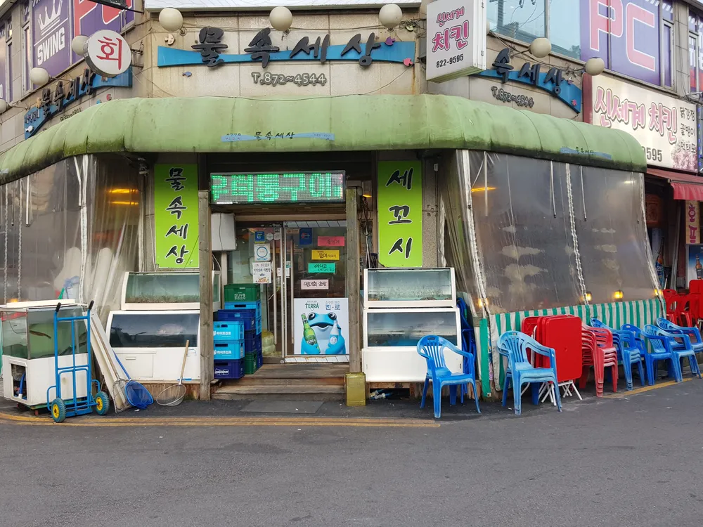물속세상 대표 이미지