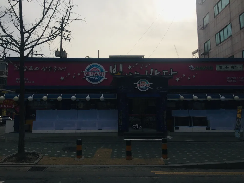 빛나는바다 대표 이미지