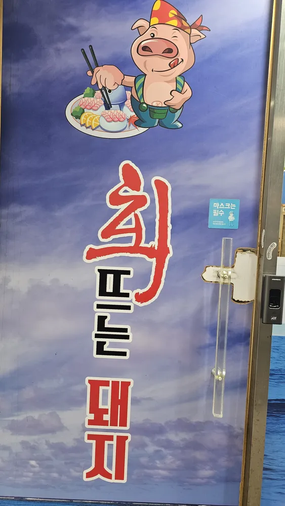 회뜨는돼지 대표 이미지