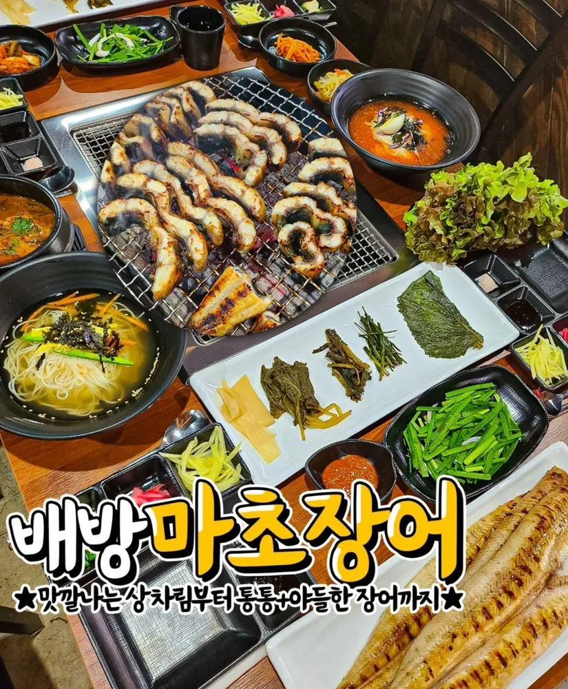 마초장어 대표 이미지