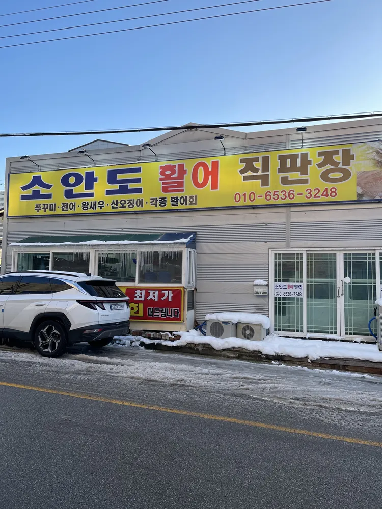 소안도 활어 직판장 대표 이미지