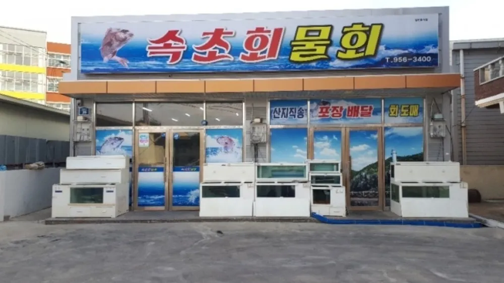 속초회물회 대표 이미지