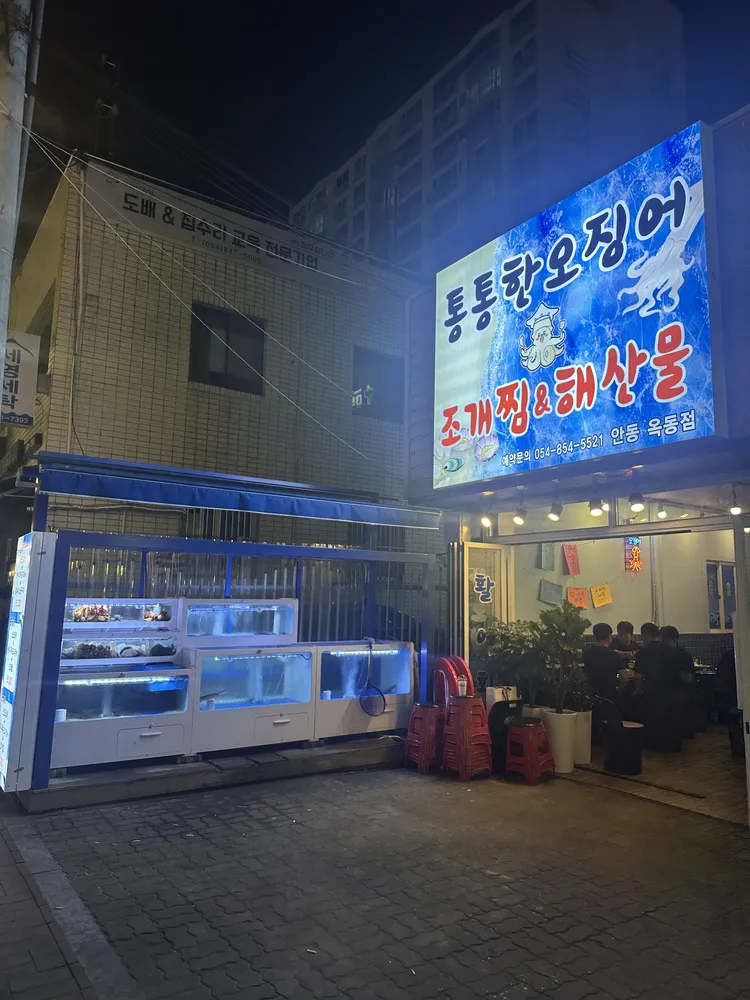 통통한 오징어 대표 이미지