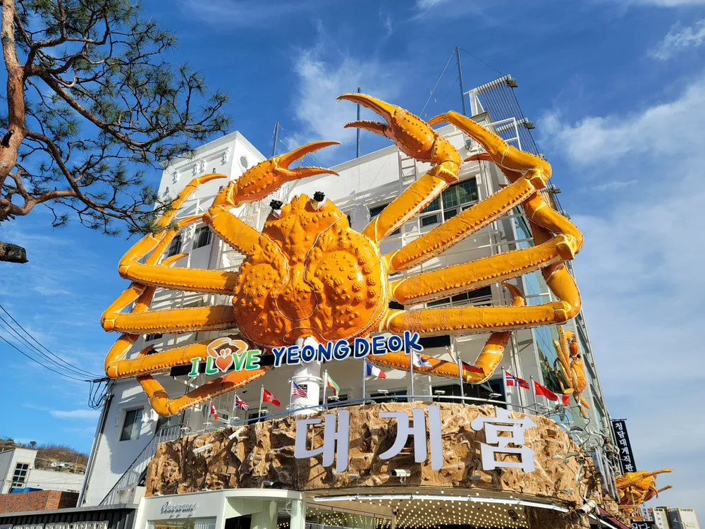 영덕대게궁 대표 이미지