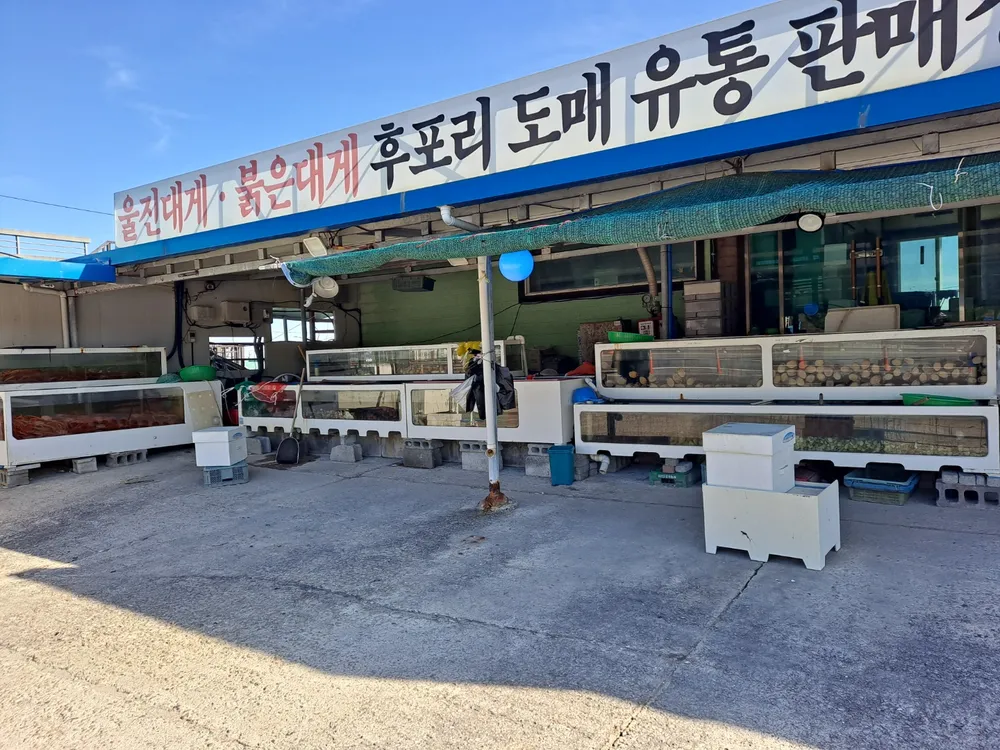 뚱보수산 대표 이미지