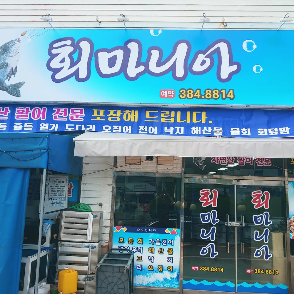회마니아 대표 이미지