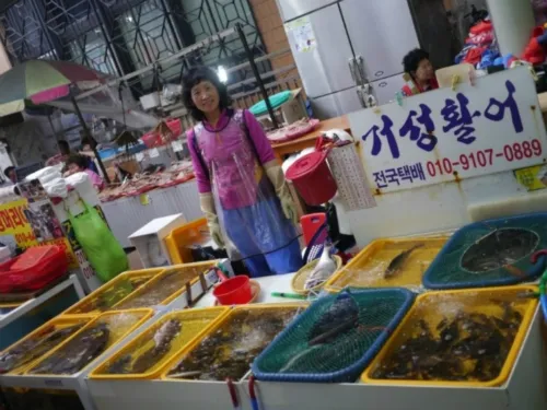 거성활어 대표 이미지