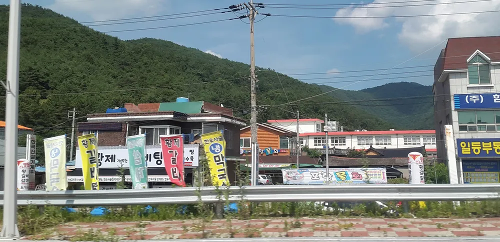 최가네포항물회 대표 이미지
