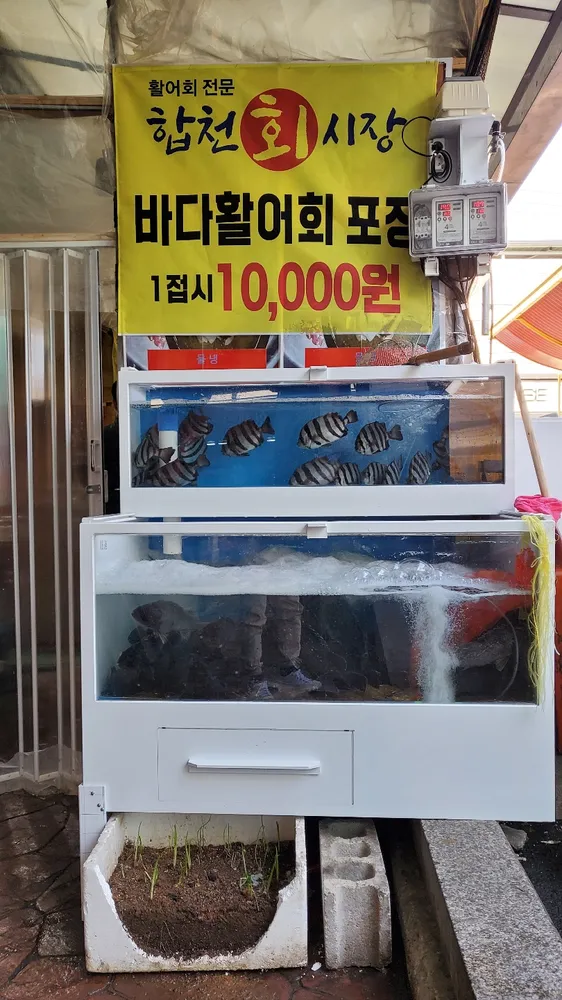 합천회시장 대표 이미지