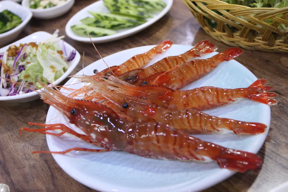 이까야 대표 이미지