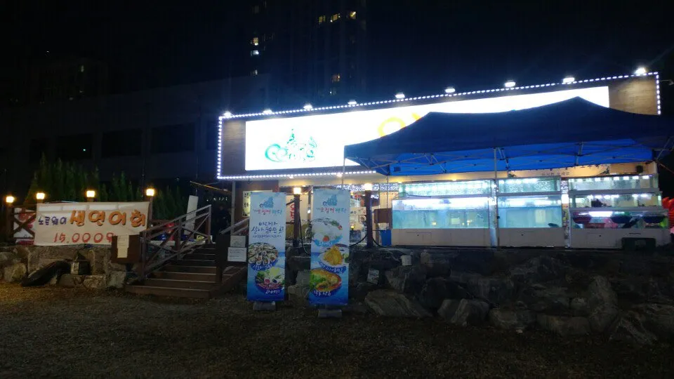 싱싱오징어바다 대표 이미지