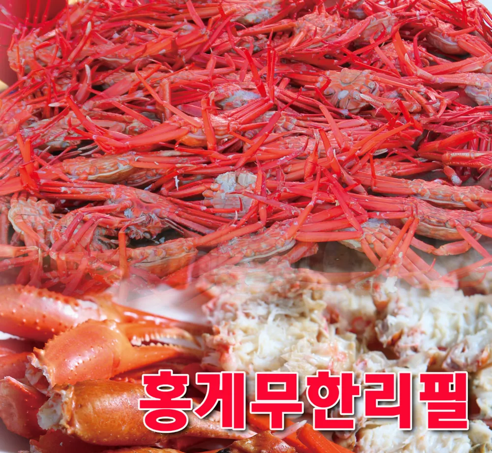 주문진붉은대게 대표 이미지
