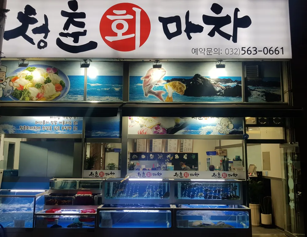 청춘회마차 대표 이미지