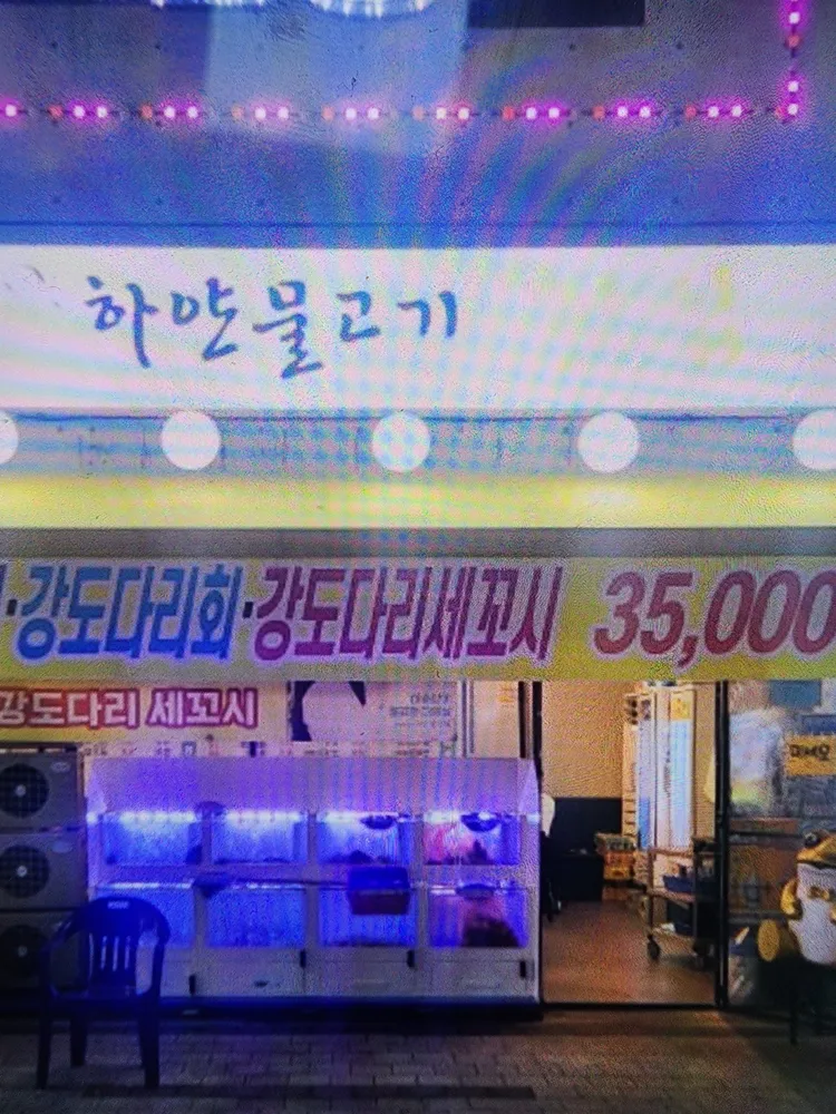 하얀물고기횟집 대표 이미지