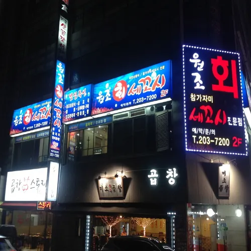 원조회세꼬시 대표 이미지