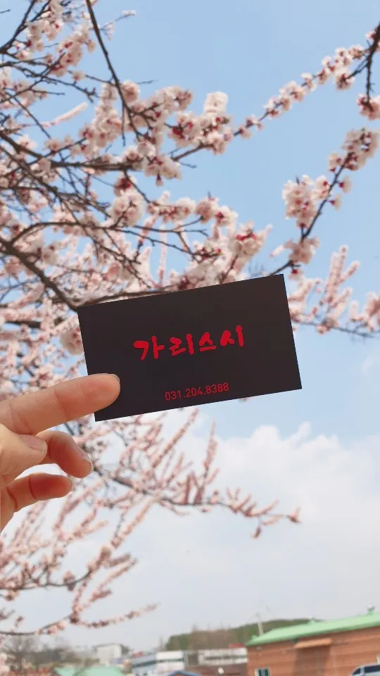 가리스시 대표 이미지