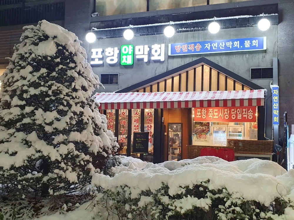 포항막회 대표 이미지