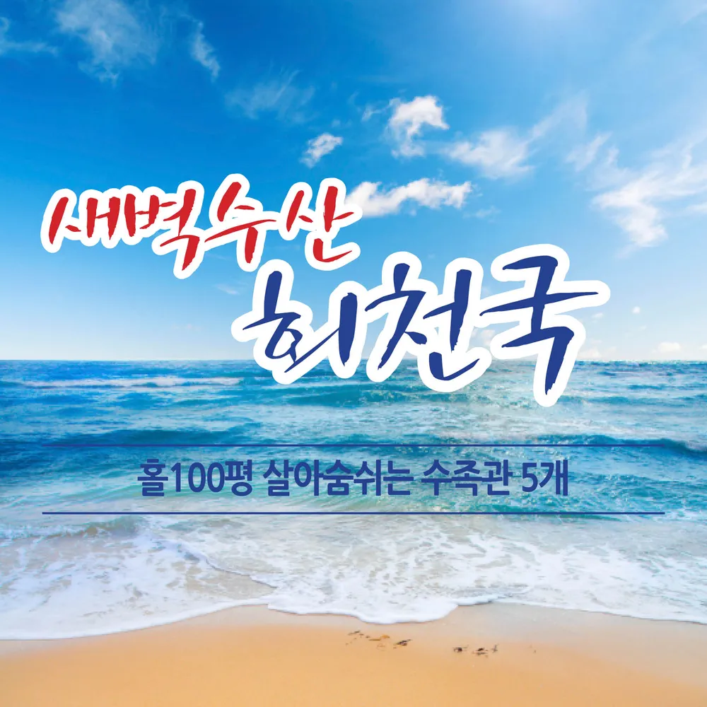 새벽수산회천국 대표 이미지