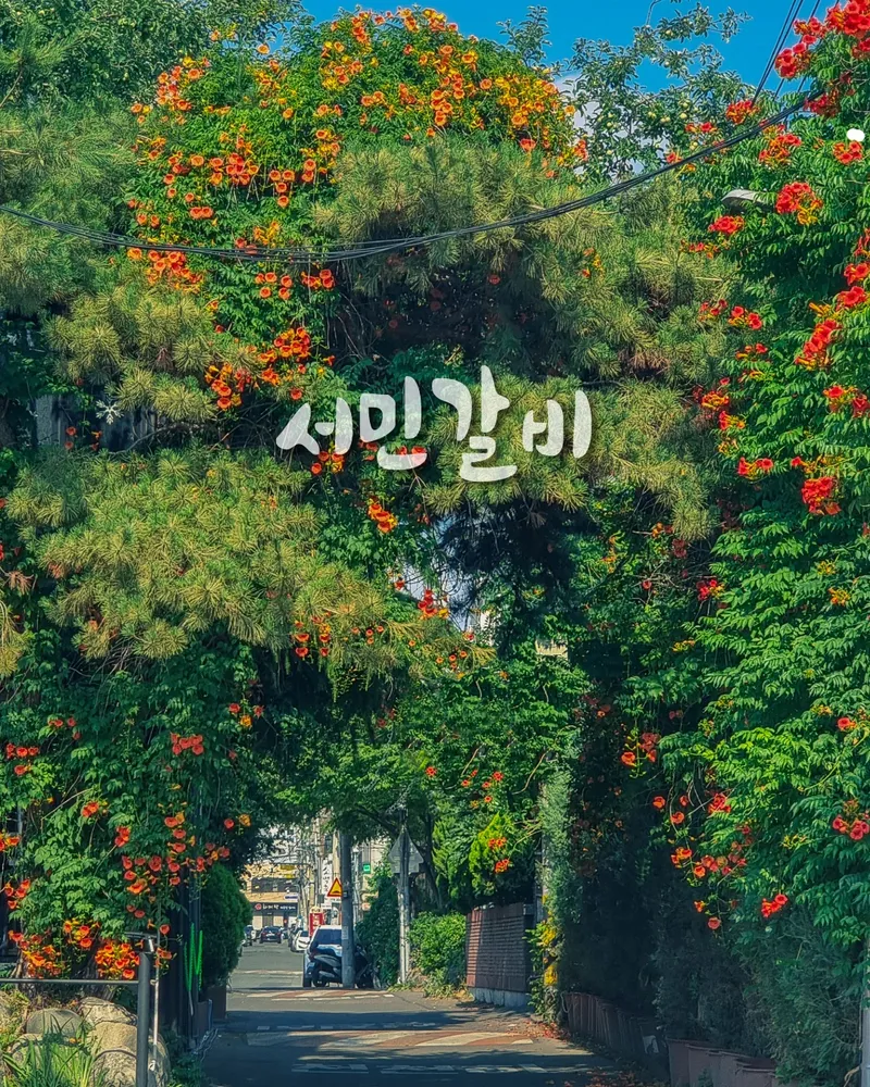 서민갈비 대표 이미지