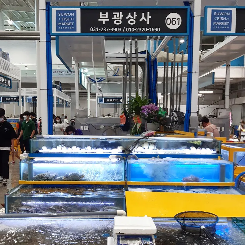 부광상사 수원농수산물도매시장점 대표 이미지